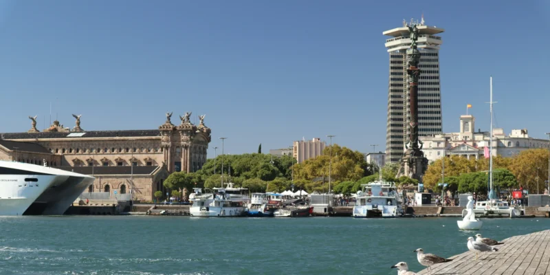 Barcellona il gattuccio comune del Mediterraneo avvelenato ha alti livelli di mercurio