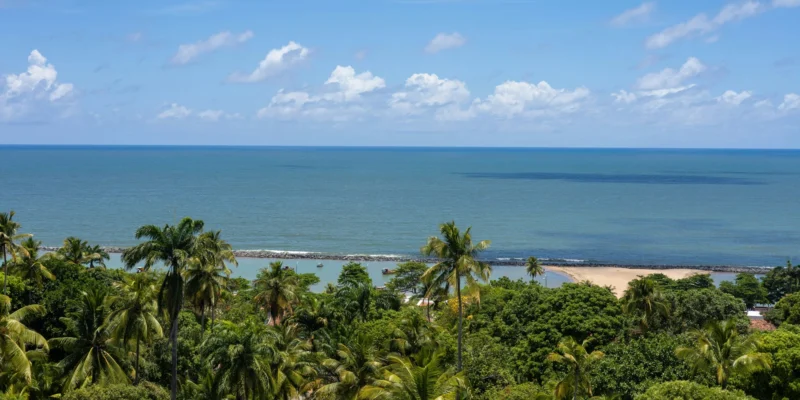 Spiaggia di Boa Viagem in Brasile con palme