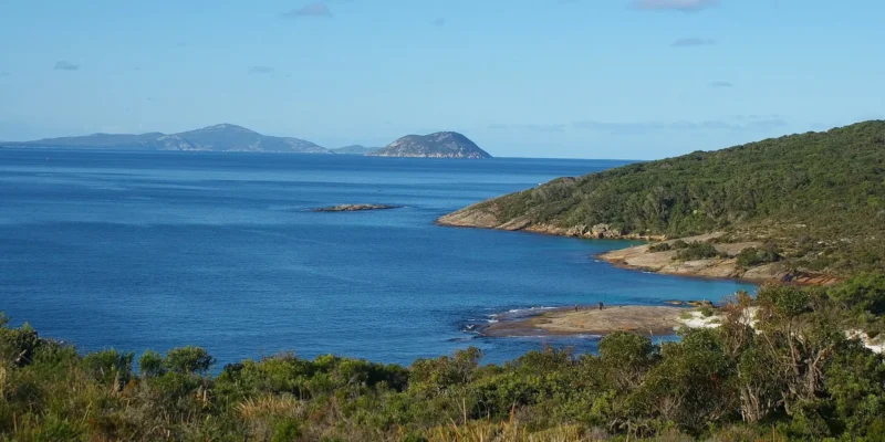 Attacco di squalo vicino a Michaelmas Island, Australia