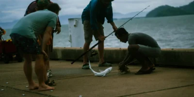 Catch and Release Haifischen Florida