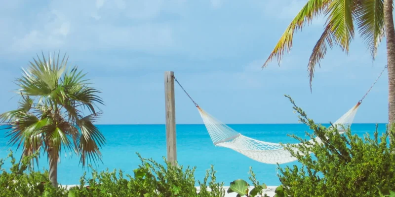 Amaca e palme alle Bahamas, immersioni con squali