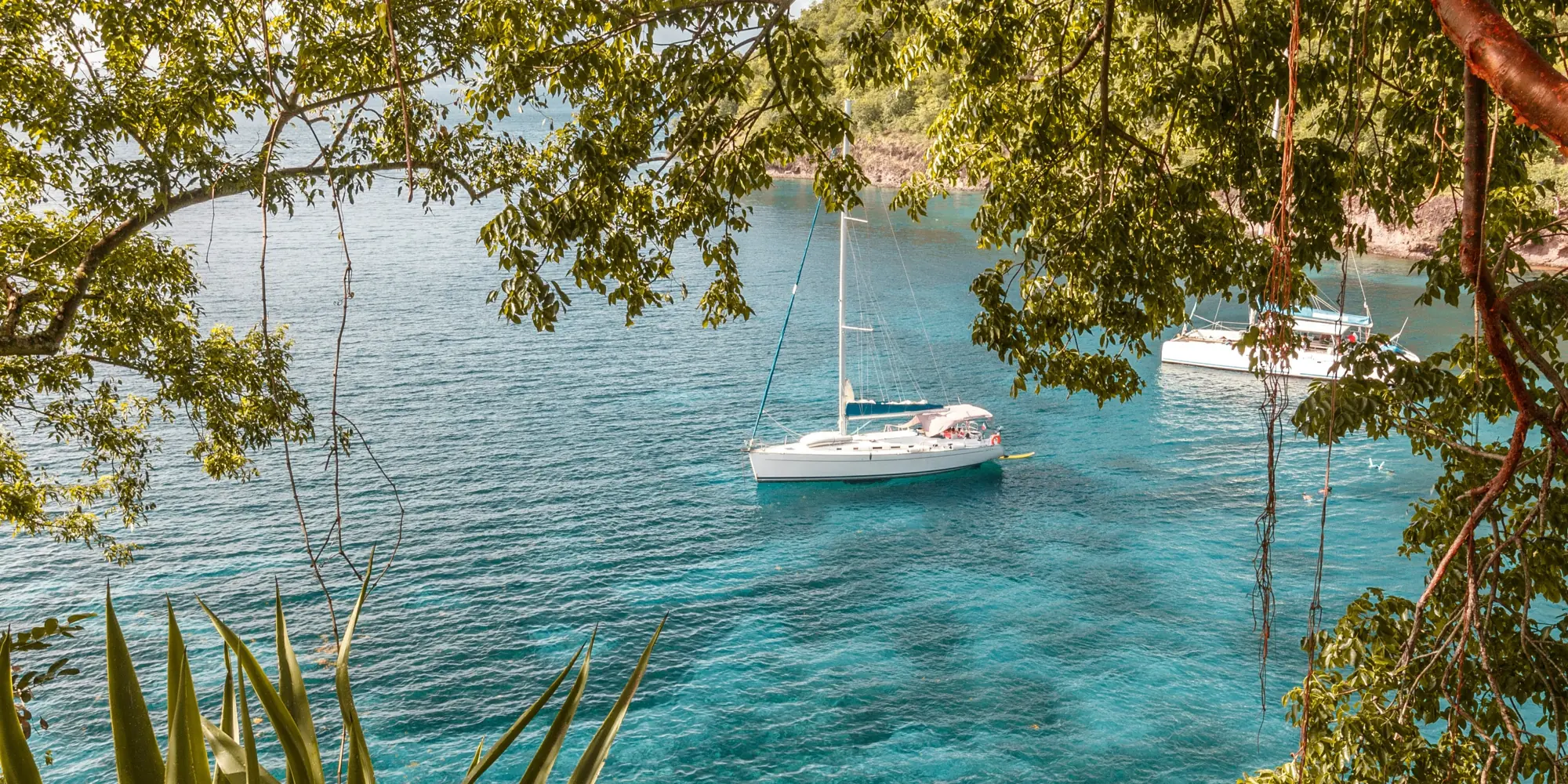 Martinica – vista dalla riva sul mare con due barche a vela – immersioni con gli squali