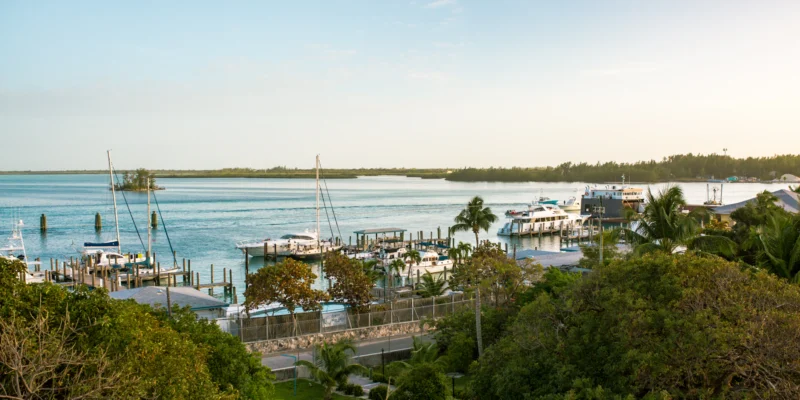 Piccolo porto a Bimini con barche a vela, barche a motore, costa e mare