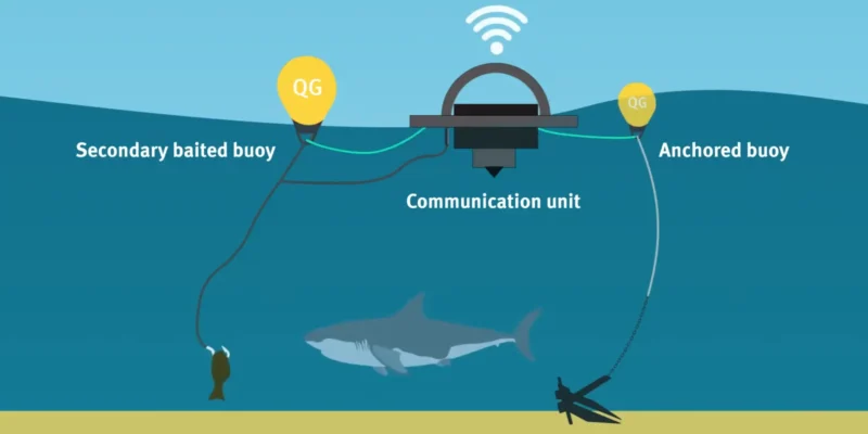 Schema di una drumline con boa innescata, unità di comunicazione, boa ancorata e squalo