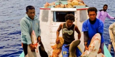 Pescatori con squali catturati su una barca in acque indonesiane