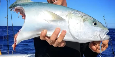 Pescatore tiene un pesce morso da uno squalo