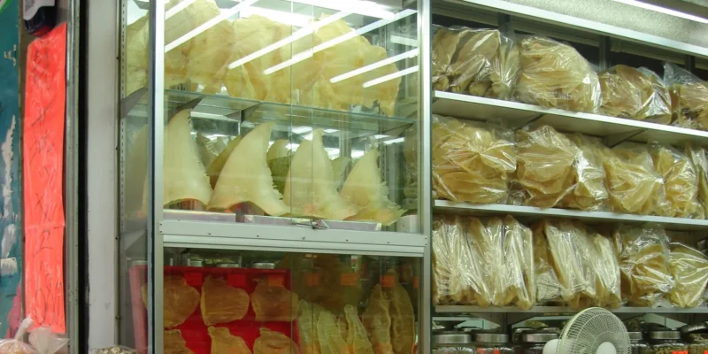 Pinne di squalo esposte in un negozio in Cina