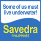 Logo di Savedra Dive Center Logo di Savedra Dive Center