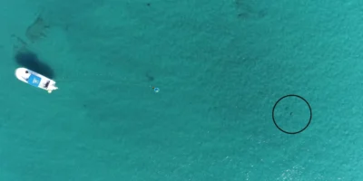 Ripresa aerea con drone dell’esperimento al largo della Florida, con una barca, un altoparlante subacqueo e uno squalo indicato da un cerchio nero.