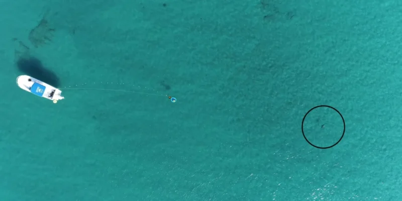 Ripresa aerea con drone dell’esperimento al largo della Florida, con una barca, un altoparlante subacqueo e uno squalo indicato da un cerchio nero.