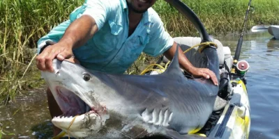 Squalo tigre con pescatore in kayak