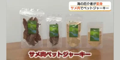 Quattro confezioni di snack di carne di squalo di Chizu, in pezzi essiccati e in polvere, nel servizio di TSK/FNN