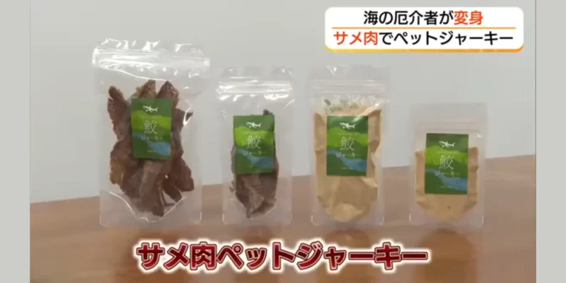 Quattro confezioni di snack di carne di squalo di Chizu, in pezzi essiccati e in polvere, nel servizio di TSK/FNN